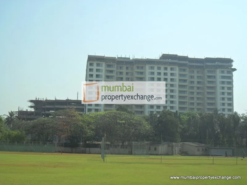8th Feb 2011
