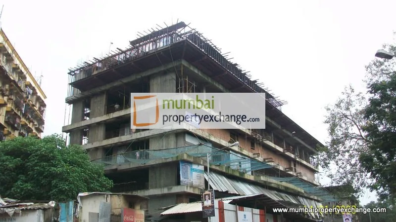17th Aug 2010