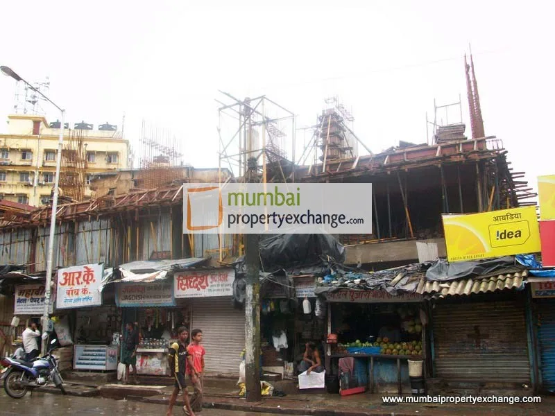 25 July 2009