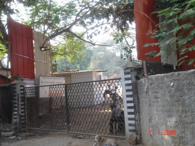 7 Jan 2009