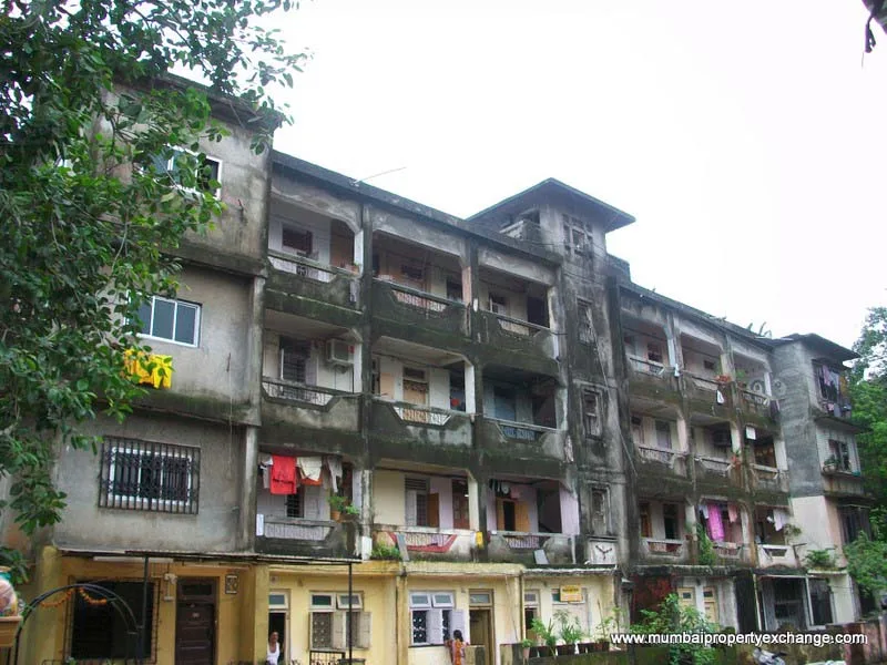 20 July 2009