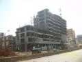11 November 2009