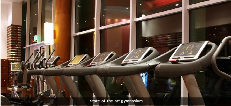 Gymnasium