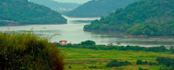 View