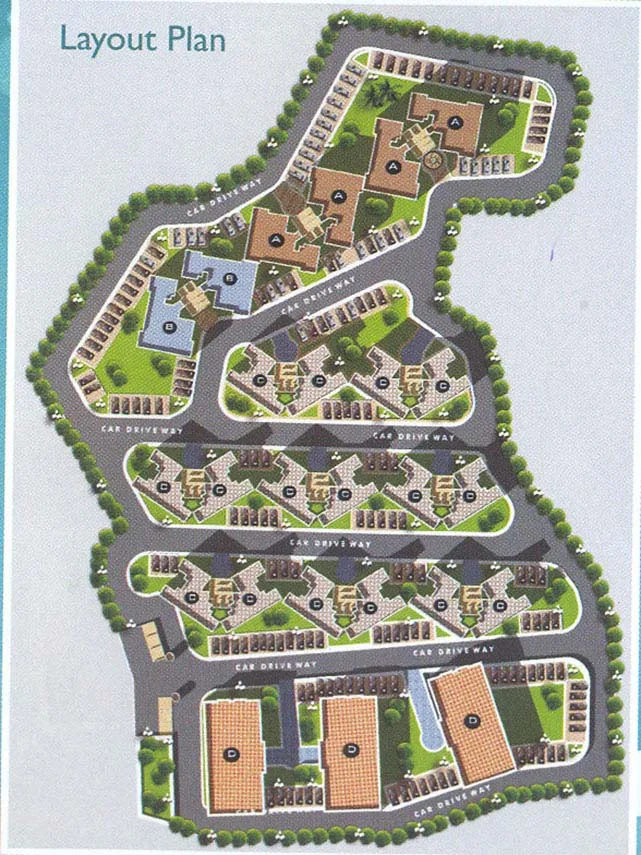 Layout