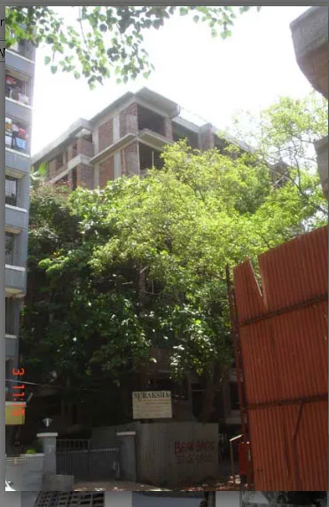 9th June 2009
