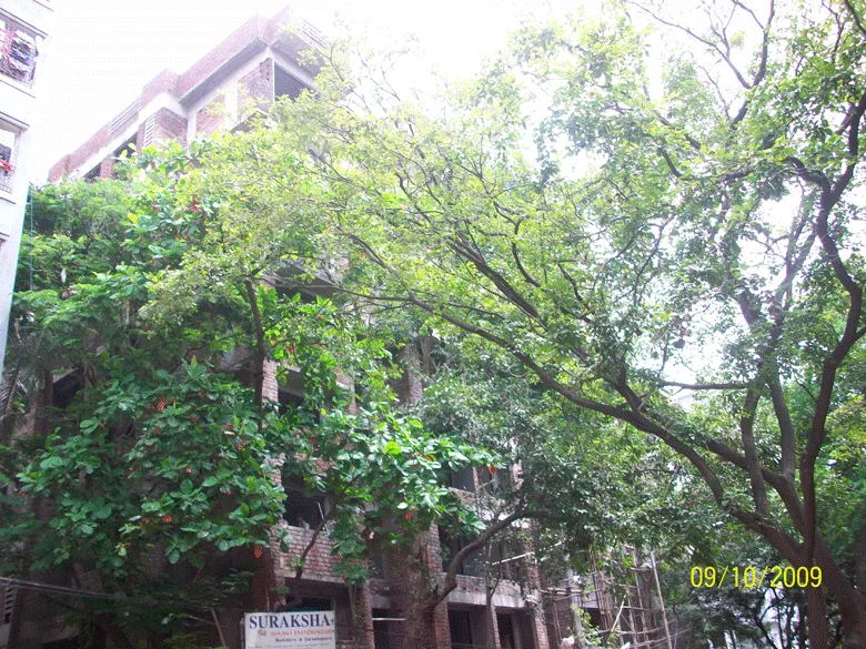 9th Sep 2009