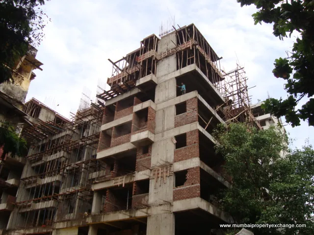 25 June 2009