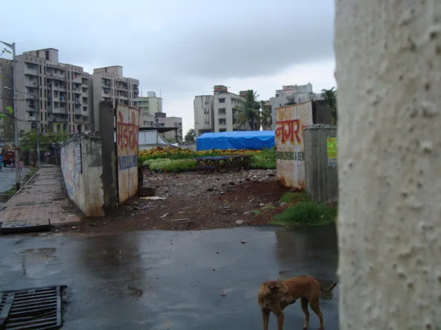 22 June 2009