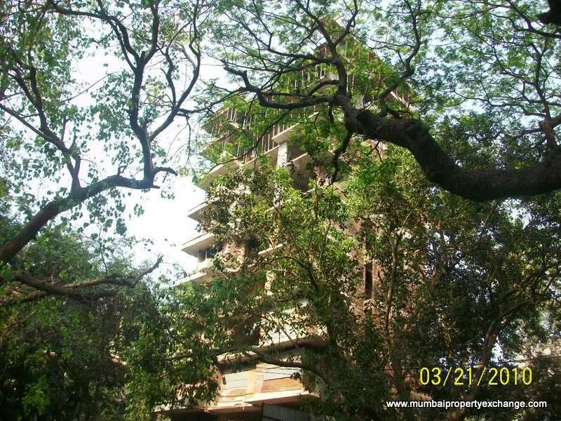 23rd March 2010
