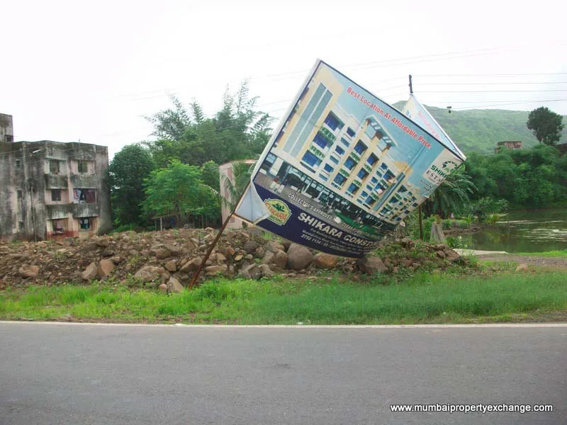 29 July 2009