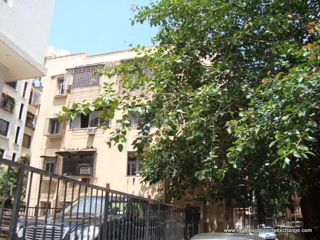 24 June 2009