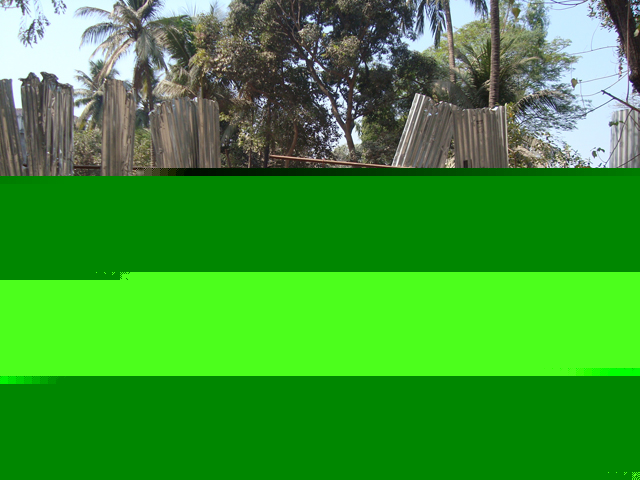 6 Feb 2009