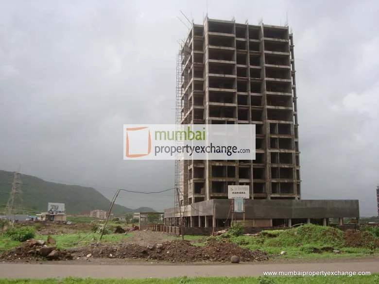 15 July 2009