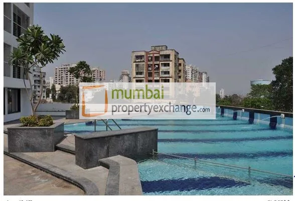 Swim area