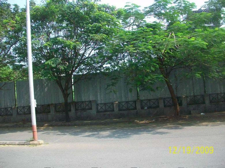 19th Dec 2009
