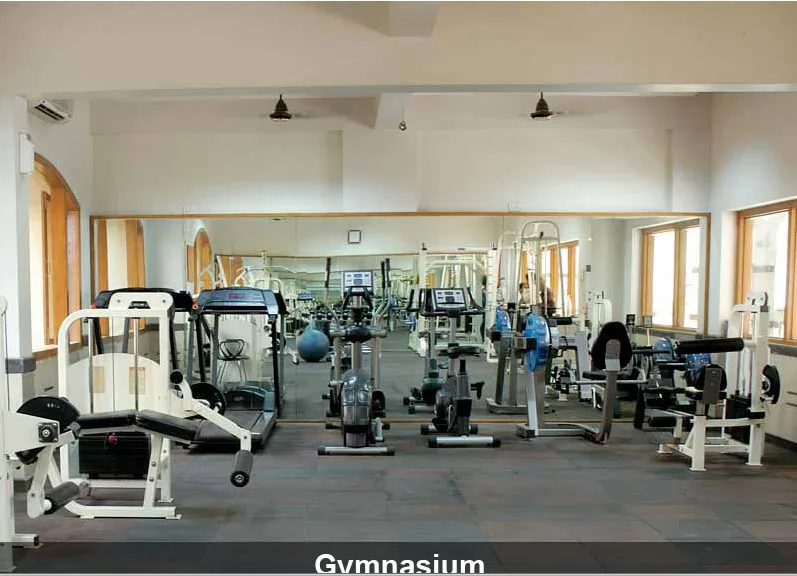 Gymnasium