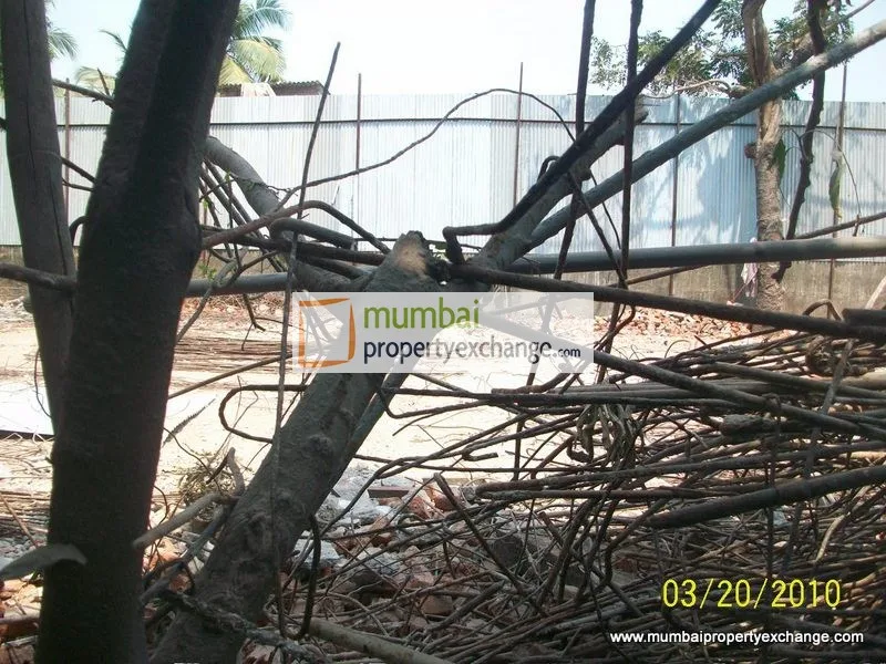 19 March 2010