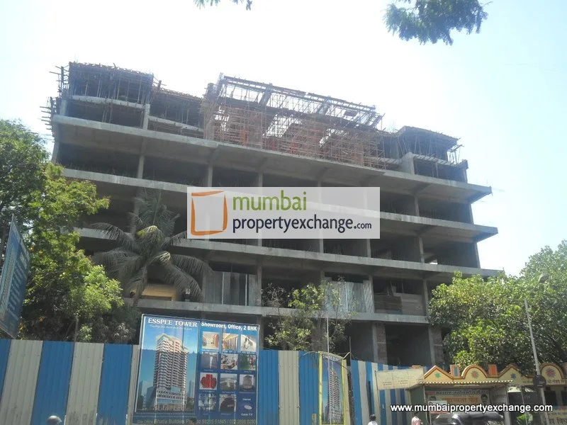 12th March 2011