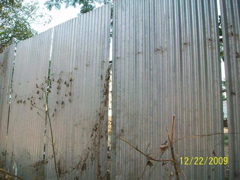 23 Dec 2009