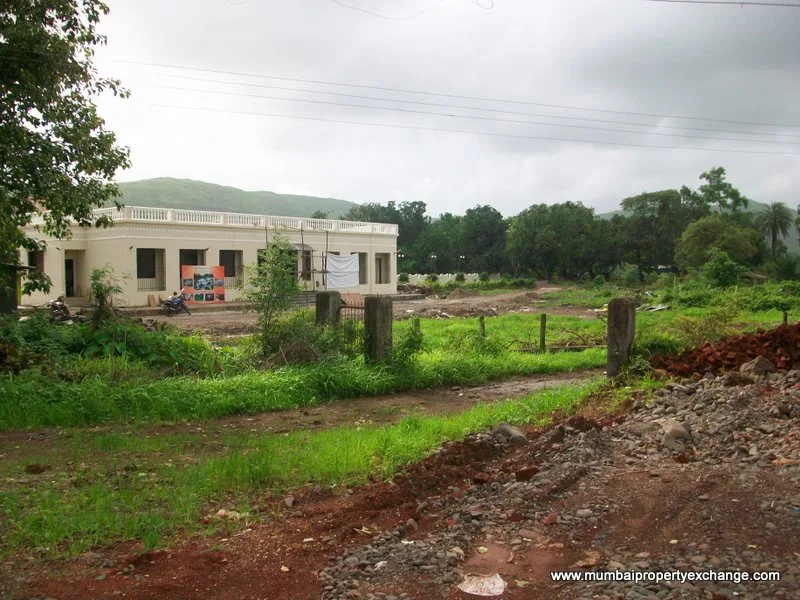 29 July 2009