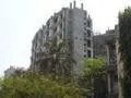 6 Feb 2009