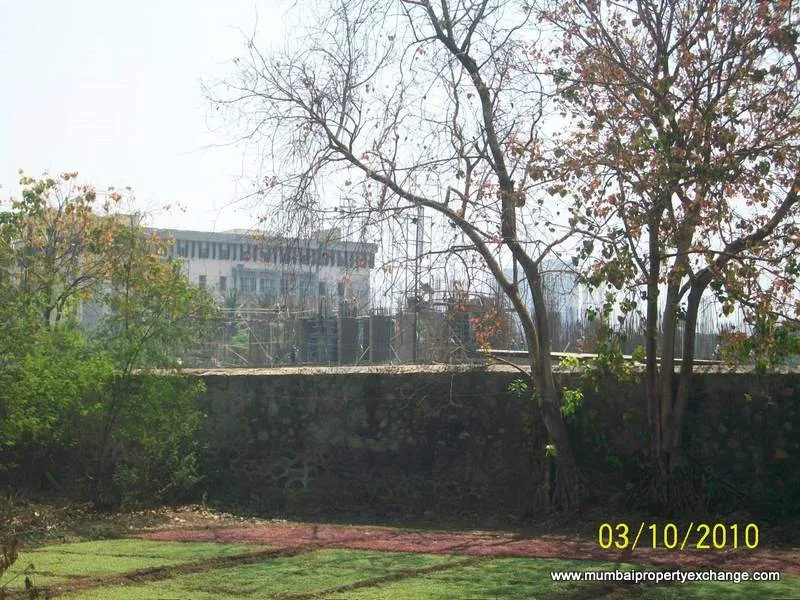 10th March 2010