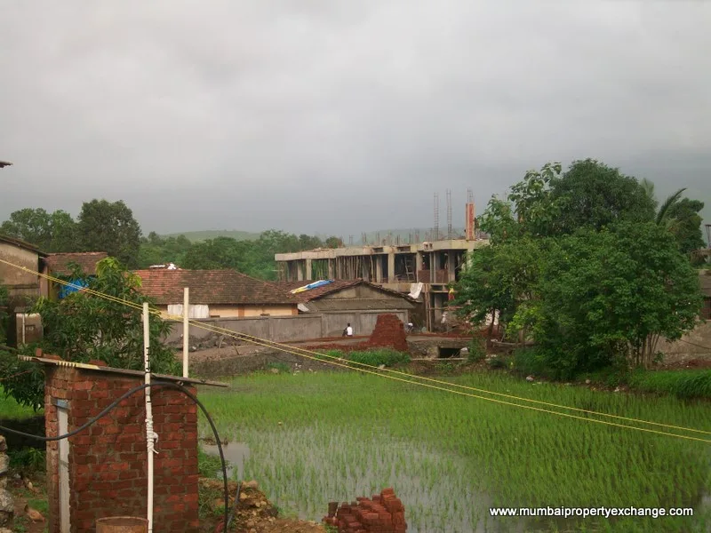 29 July 2009