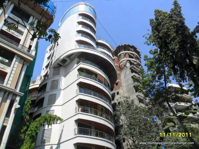 11th Nov 2011