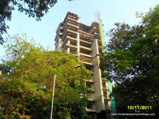 11th Nov 2011
