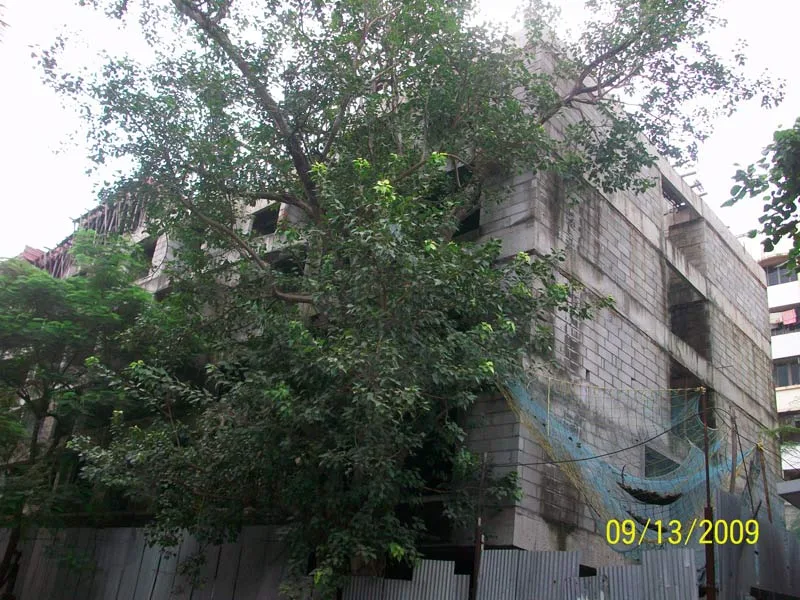 19th Sep 2009