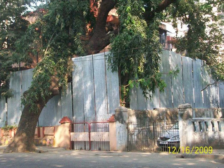 16th Dec 2009