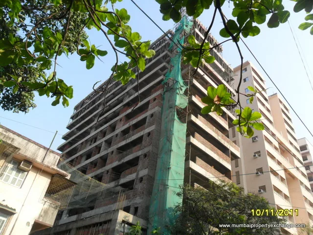 11th Nov 2011