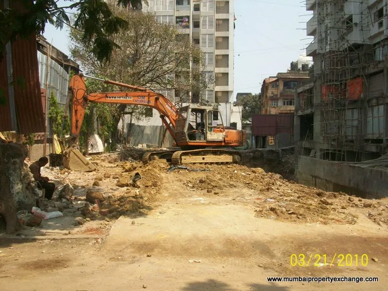 21 March 2010