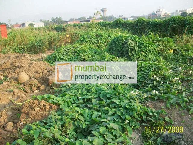 25 Nov 2009