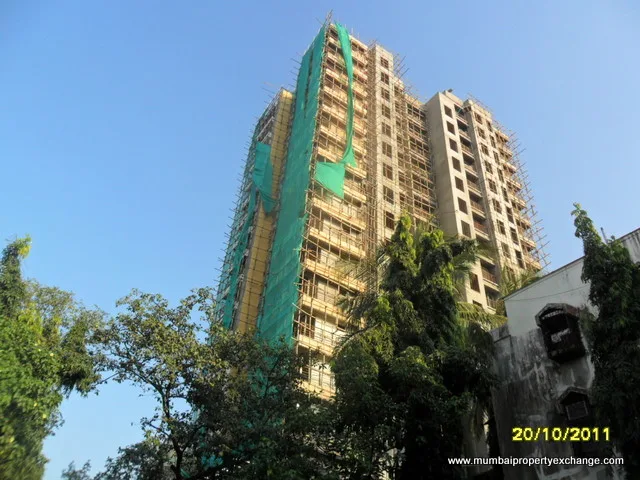 20th Oct 2011