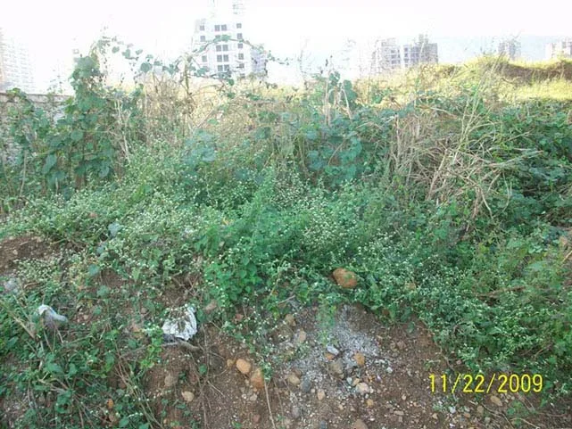 21 Nov 2009
