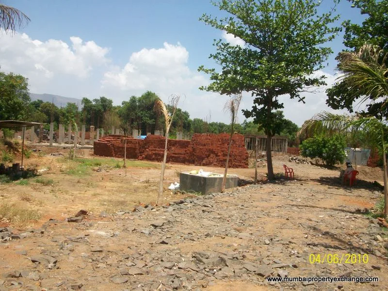 5 June 2010