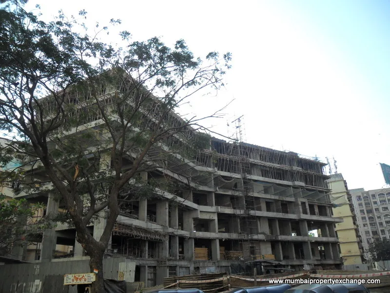 7th Feb 2011