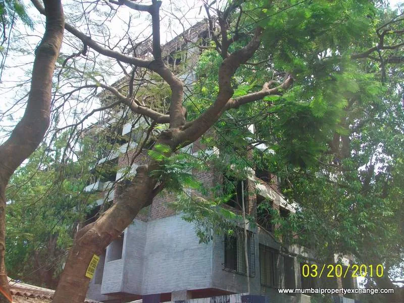 19 March 2010