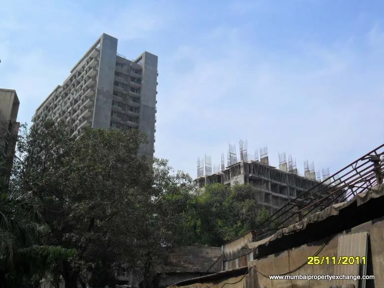 29 Nov 2011