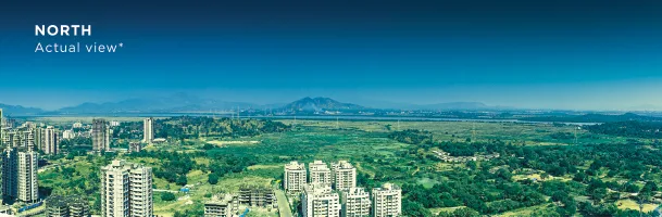 North View from Orion