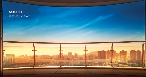 South View from Orion