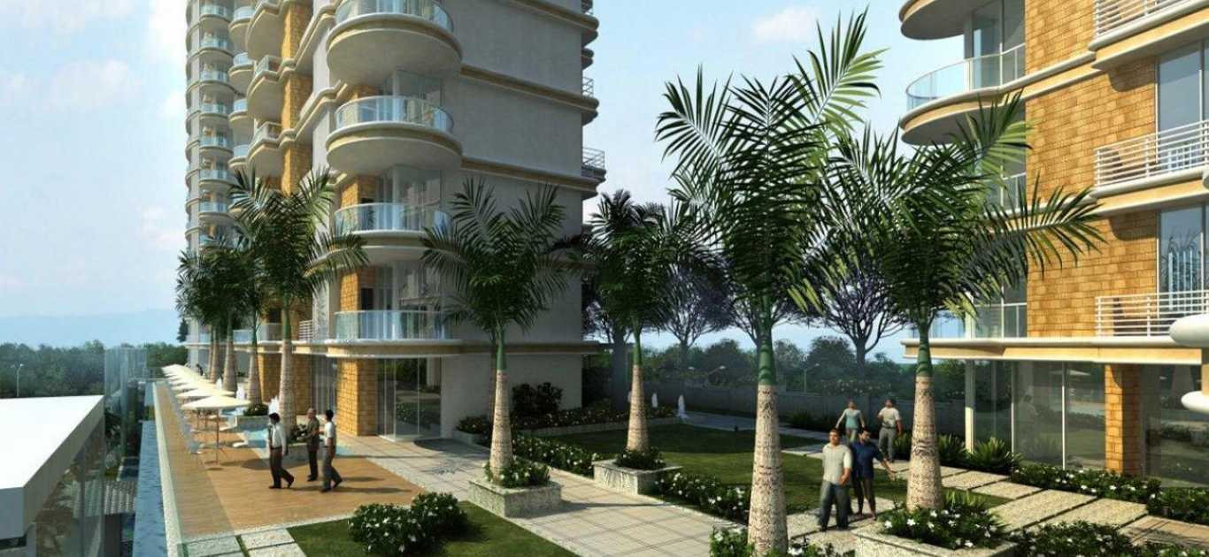 Orion Elevation Image-4