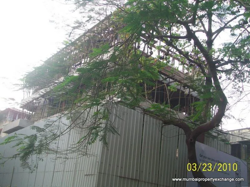 23rd March 2010