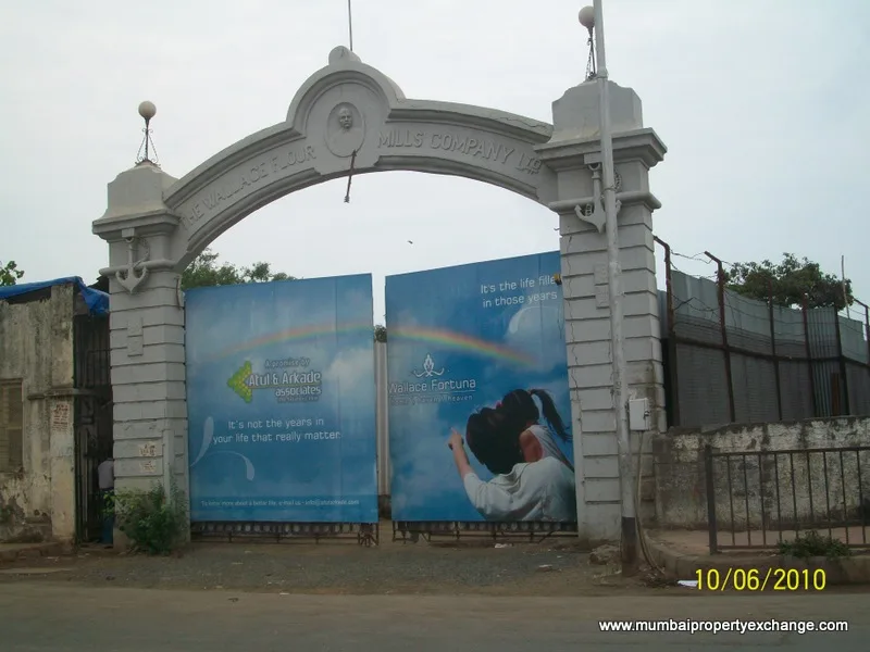 8th June 2010