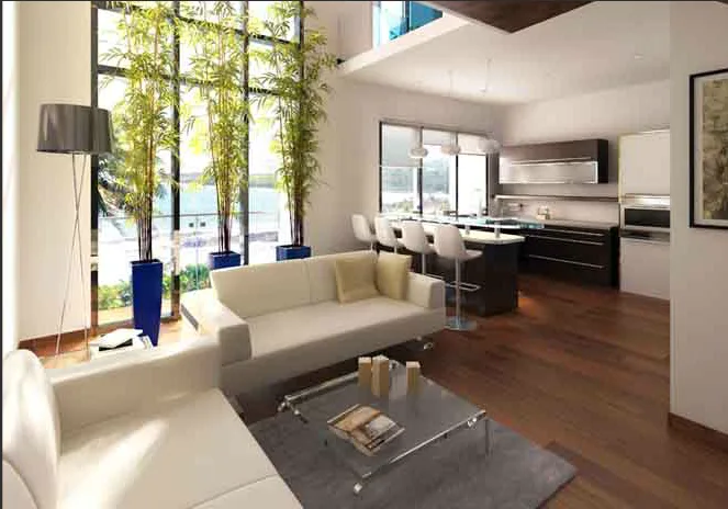 1 BHK Living room Duplex