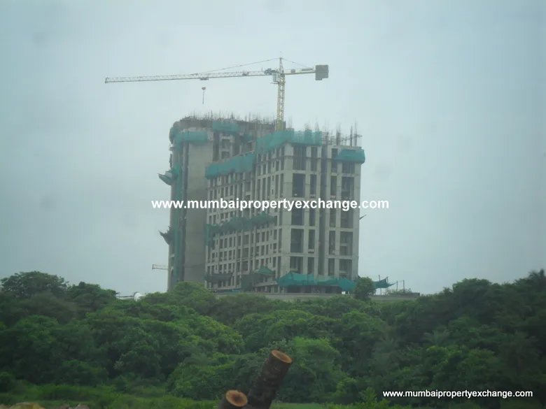 9th Aug 2012 - New Phase III