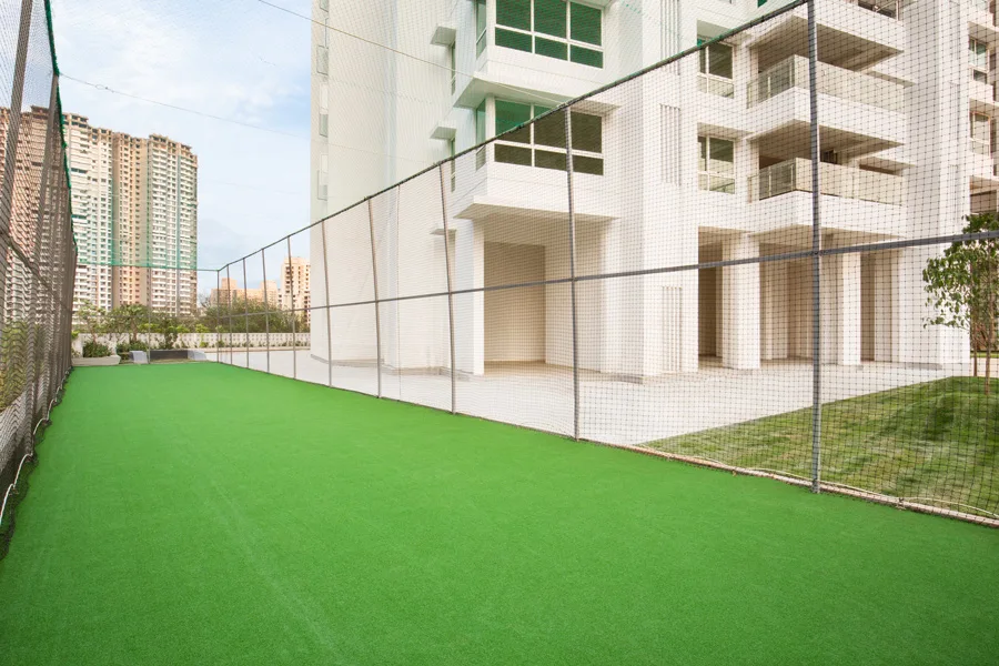 Ashford Royale Box Cricket Pitch