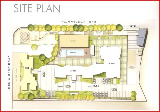 Site Plan